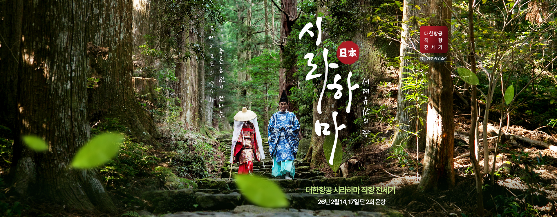 [기획전] 시라하마 전세기 기획전